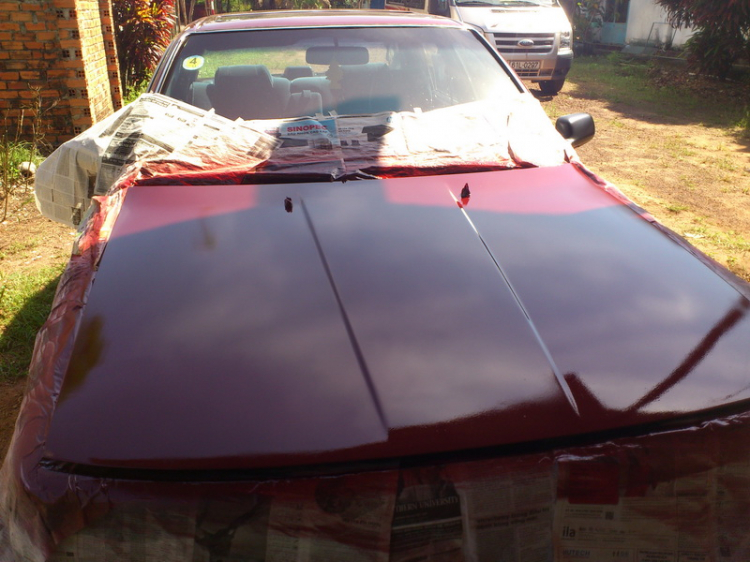 Camry 8x9x and more... Camry 8x9x and more...