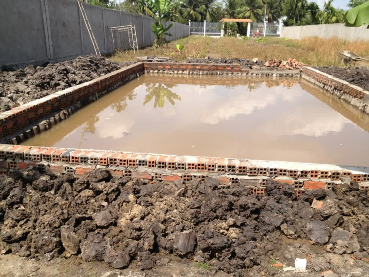 Khu sinh thái 4.600ha dọc sông Sài Gòn ở Củ Chi Khu sinh thái 4.600ha dọc sông Sài Gòn ở Củ Chi