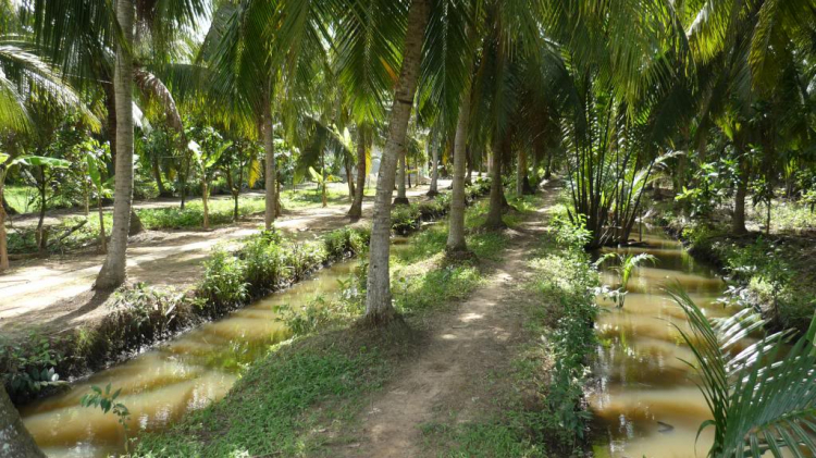 Một ngày lang thang ở Bến Tre.