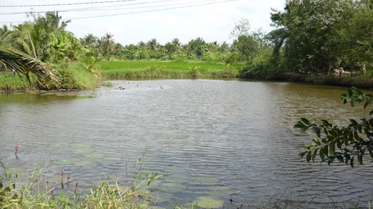 Một ngày lang thang ở Bến Tre.