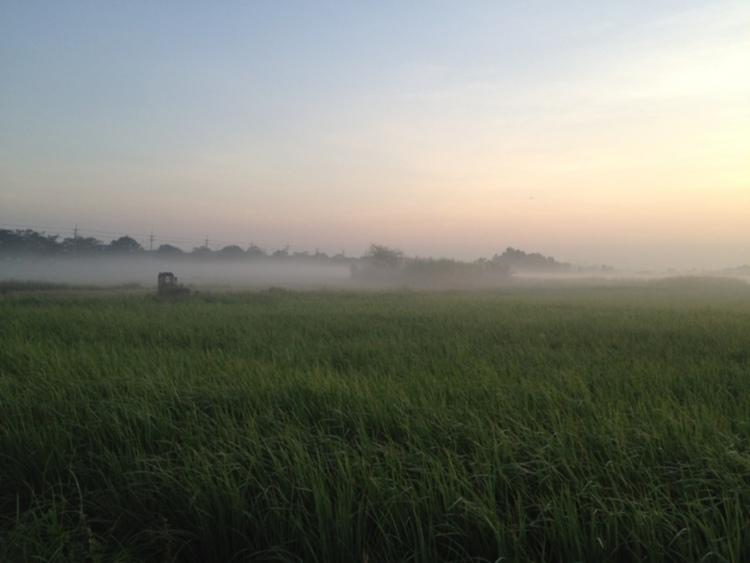 Trao tặng nhà tình thương tại Bến Tre ngày 2/12/2012