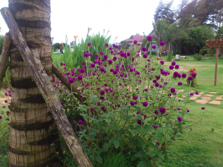 Fiore - Quá đã để... xả... bụi SG! Fiore - Quá đã để... xả... bụi SG!