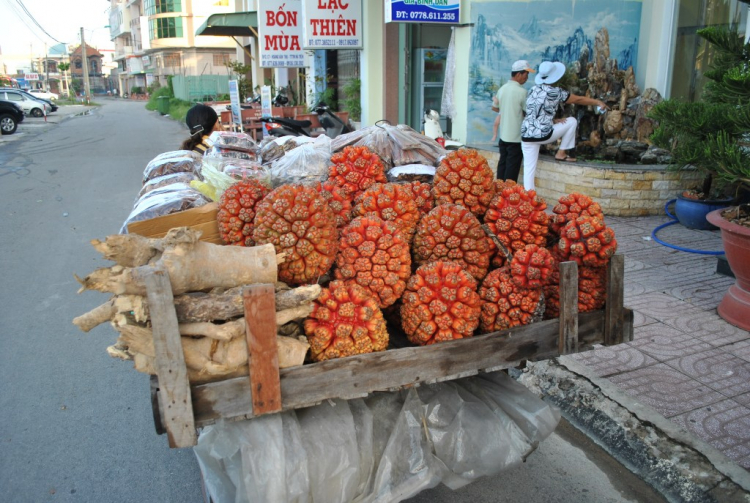 MSFC [hình ảnh] Khám phá vùng đất phương nam - Hà Tiên.