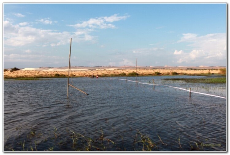 Tường thuật & hình ảnh giải Thử thách đồi cát Phan Thiết 2012 - chào mừng 10 năm OS