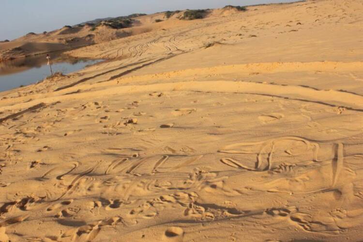 Tường thuật & hình ảnh giải Thử thách đồi cát Phan Thiết 2012 - chào mừng 10 năm OS Tường thuật & hình ảnh giải Thử thách đồi cát Phan Thiết 2012 - chào mừng 10 năm OS