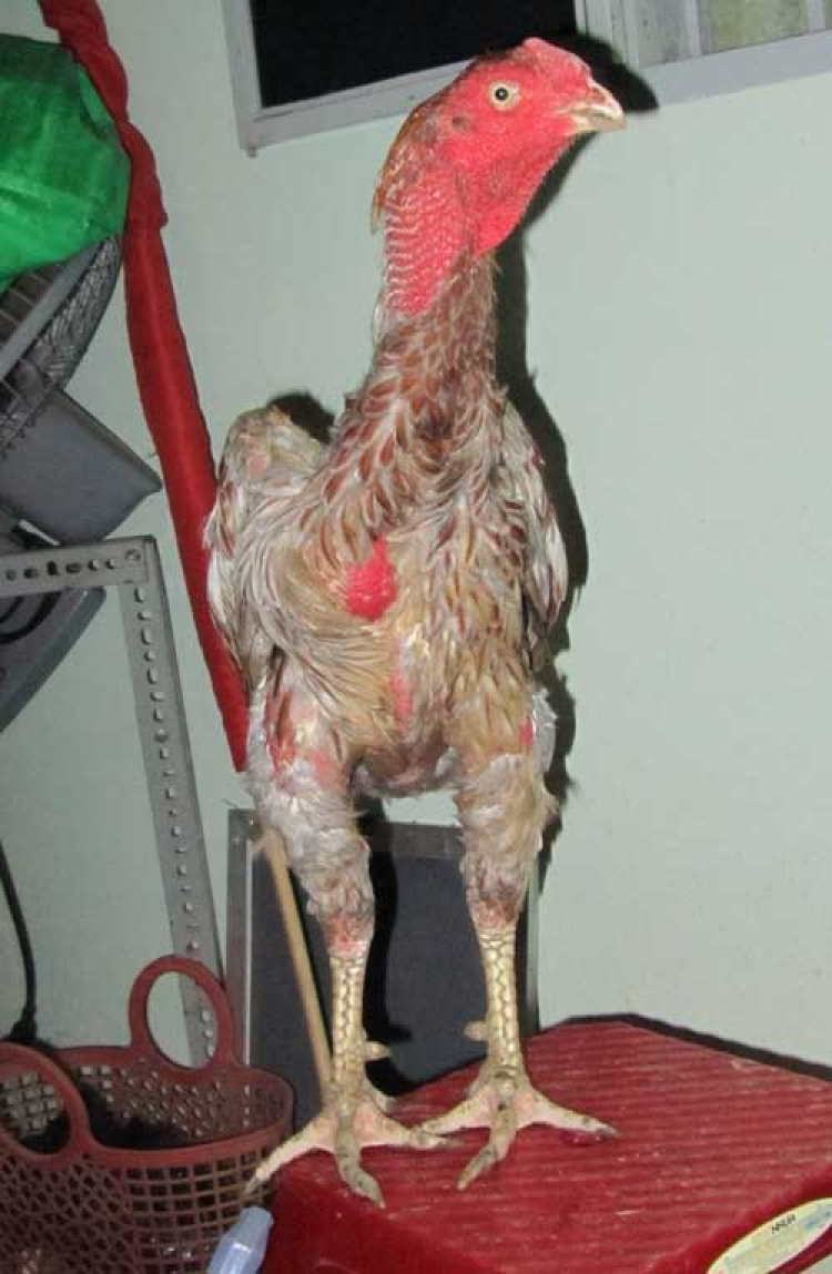 Thơ Quán - Tình Khúc Mưa Tháng Năm Thơ Quán - Tình Khúc Mưa Tháng Năm