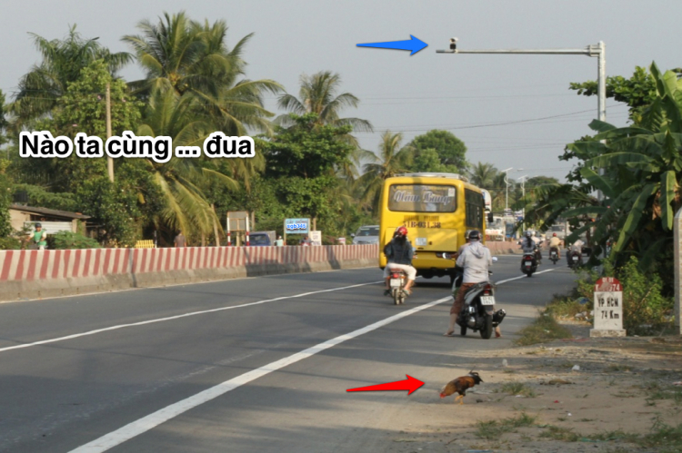Vị trí các Camera tốc độ trên QL1A thuộc tỉnh Tiền Giang Vị trí các Camera tốc độ trên QL1A thuộc tỉnh Tiền Giang