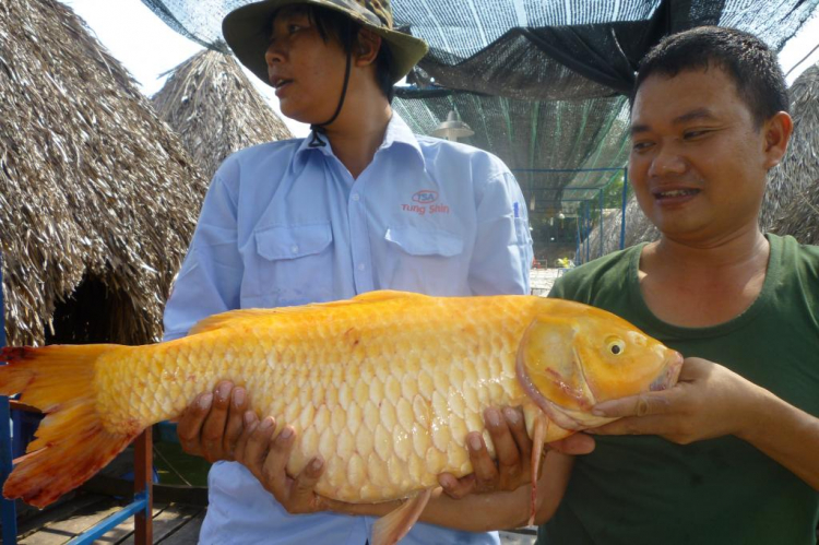 Ra mắt thớt gặp mặt giao lưu anh em chuyện ngoài lề.