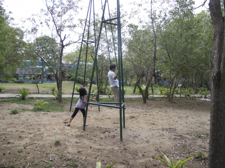 Cùng gia đình làm chuyến du lịch sinh thái Vàm sát – Cần Giờ