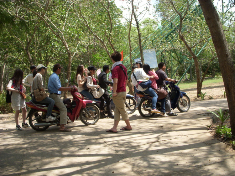Cùng gia đình làm chuyến du lịch sinh thái Vàm sát – Cần Giờ