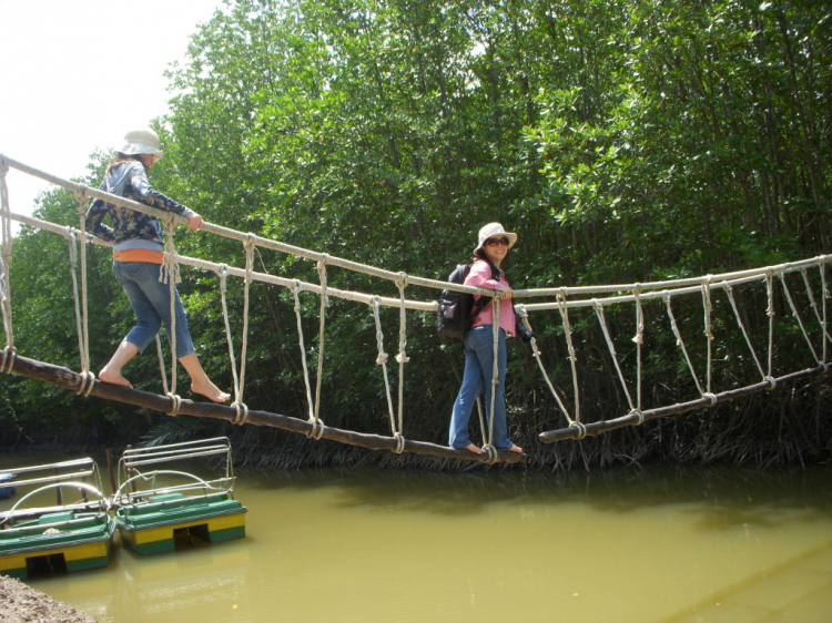 Cùng gia đình làm chuyến du lịch sinh thái Vàm sát – Cần Giờ