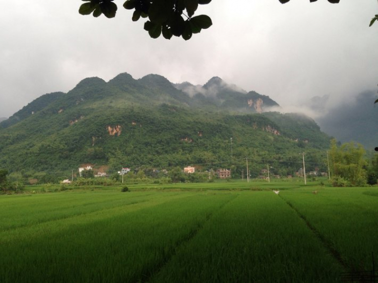 Chiến dich "Bắc phạt" ta quyết đánh Tây dẹp Đông vây Hà Thành! Chiến dich "Bắc phạt" ta quyết đánh Tây dẹp Đông vây Hà Thành!
