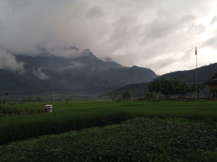 Chiến dich "Bắc phạt" ta quyết đánh Tây dẹp Đông vây Hà Thành! Chiến dich "Bắc phạt" ta quyết đánh Tây dẹp Đông vây Hà Thành!