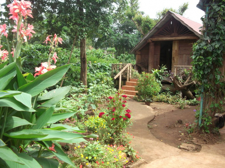 2 NGÀY 1 ĐÊM BUÔN MÊ - Ở HOMESTAY - ĂN CƠM ĐỒNG BÀO 2 NGÀY 1 ĐÊM BUÔN MÊ - Ở HOMESTAY - ĂN CƠM ĐỒNG BÀO