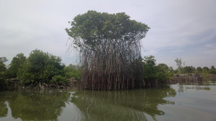 Du ngoạn trên biển bằng xuồng phao bơm hơi.