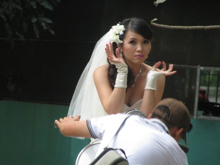 Accord Club: Tụ tập vui chơi, cà phê, ọp ẹp Accord Club: Tụ tập vui chơi, cà phê, ọp ẹp