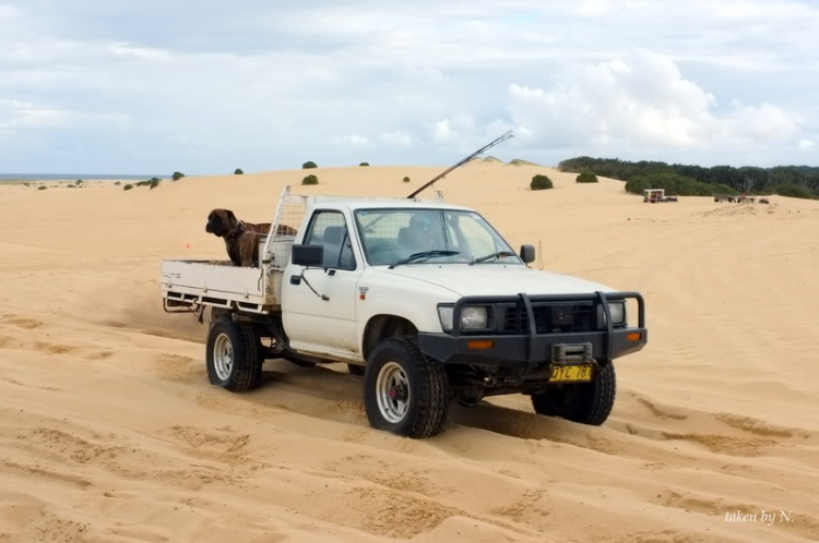 Phần lớn xe hai cầu đều có thể off road đồi cát được... nếu biết cách!