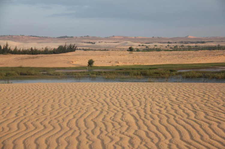 Đồi cát Phan Thiết