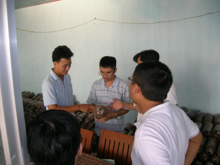 Trại nuôi trồng nấm, khởi đầu như thế nào? Trại nuôi trồng nấm, khởi đầu như thế nào?
