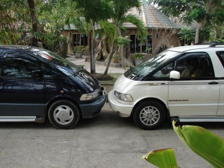 Tết Tây này các bác đi đâu nè - Ninh Chữ biển gọi