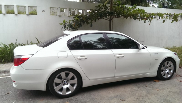 Chia sẻ tí hình ảnh chó già của em E60 để mấy bác chém Chia sẻ tí hình ảnh chó già của em E60 để mấy bác chém