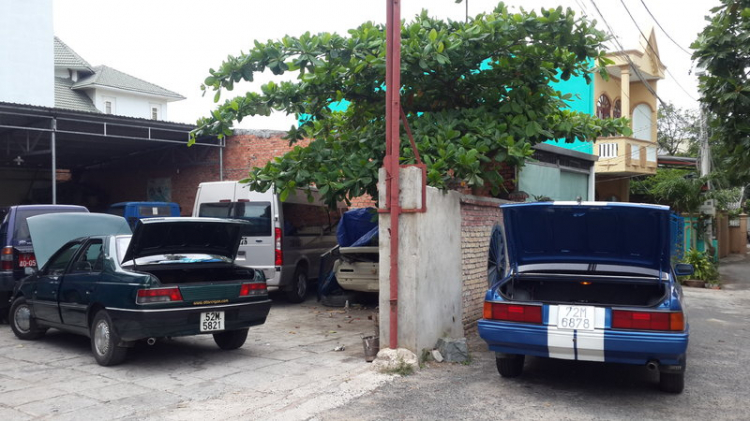 ĂN TẾT VŨNG TÀU - QUẢNG NAM VỚI EM PEUGOET 505 SHOW ANH EM XEM ĂN TẾT VŨNG TÀU - QUẢNG NAM VỚI EM PEUGOET 505 SHOW ANH EM XEM