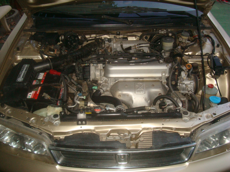 Accord 1994