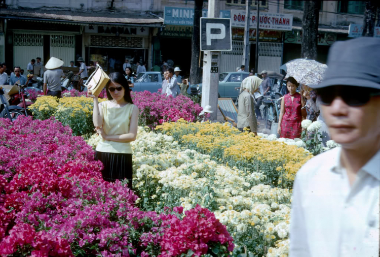 Xuân xưa và nay