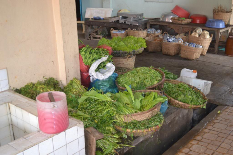 Một vòng Tòa Thánh Tây Ninh