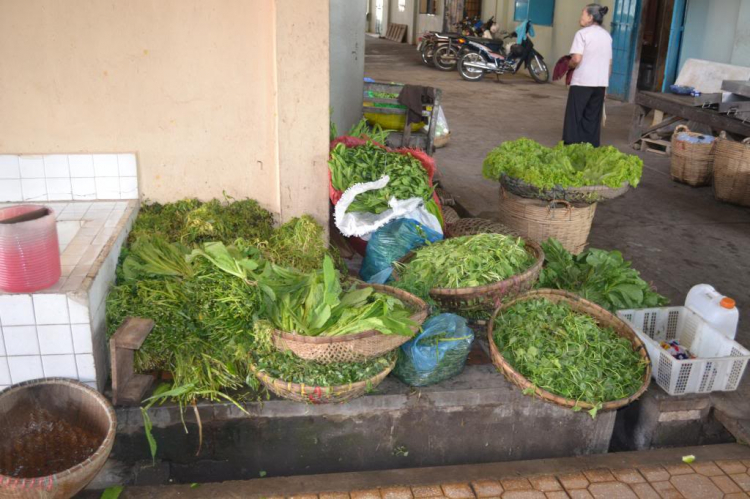 Một vòng Tòa Thánh Tây Ninh