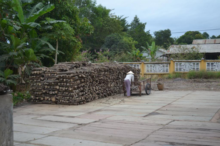 Một vòng Tòa Thánh Tây Ninh