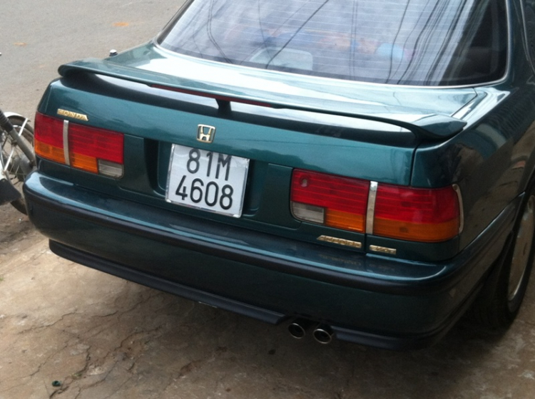 Accord club : Cọp già ký sự Accord club : Cọp già ký sự