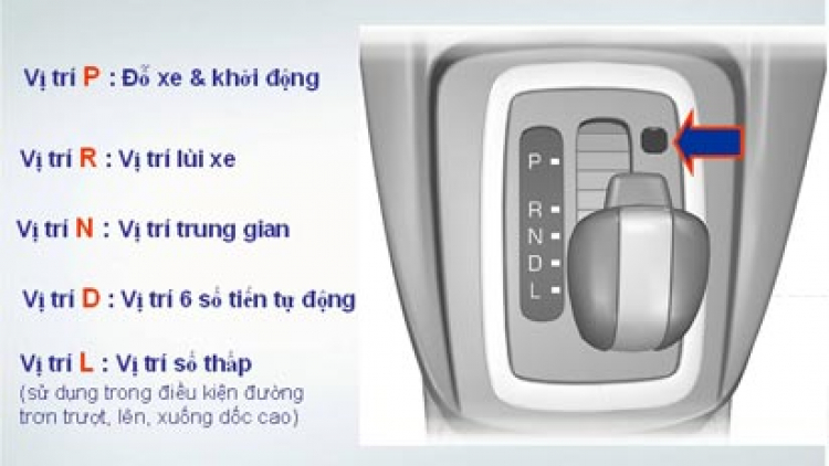 Để dành được 600T, nên mua xe gì?