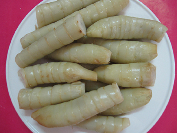 Hương Xưa Hương Xưa