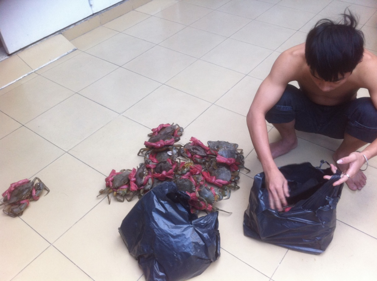 mời hợp mặt thứ 6 ngày 18/1.... mời hợp mặt thứ 6 ngày 18/1....