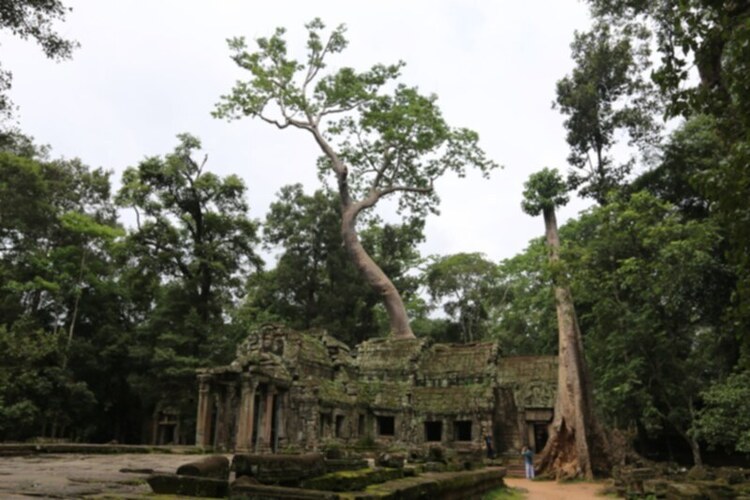 Tường thuật Hành Trình Di Sản Đền Preah Vihear – Angkor