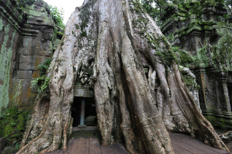 Tường thuật Hành Trình Di Sản Đền Preah Vihear – Angkor