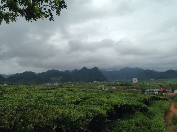Chiến dich "Bắc phạt" ta quyết đánh Tây dẹp Đông vây Hà Thành! Chiến dich "Bắc phạt" ta quyết đánh Tây dẹp Đông vây Hà Thành!
