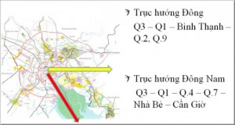 Nuôi Yến ở Việt Nam: Từ A đến Z!!!