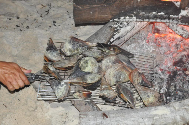 Du ngoạn trên biển bằng xuồng phao bơm hơi. Du ngoạn trên biển bằng xuồng phao bơm hơi.