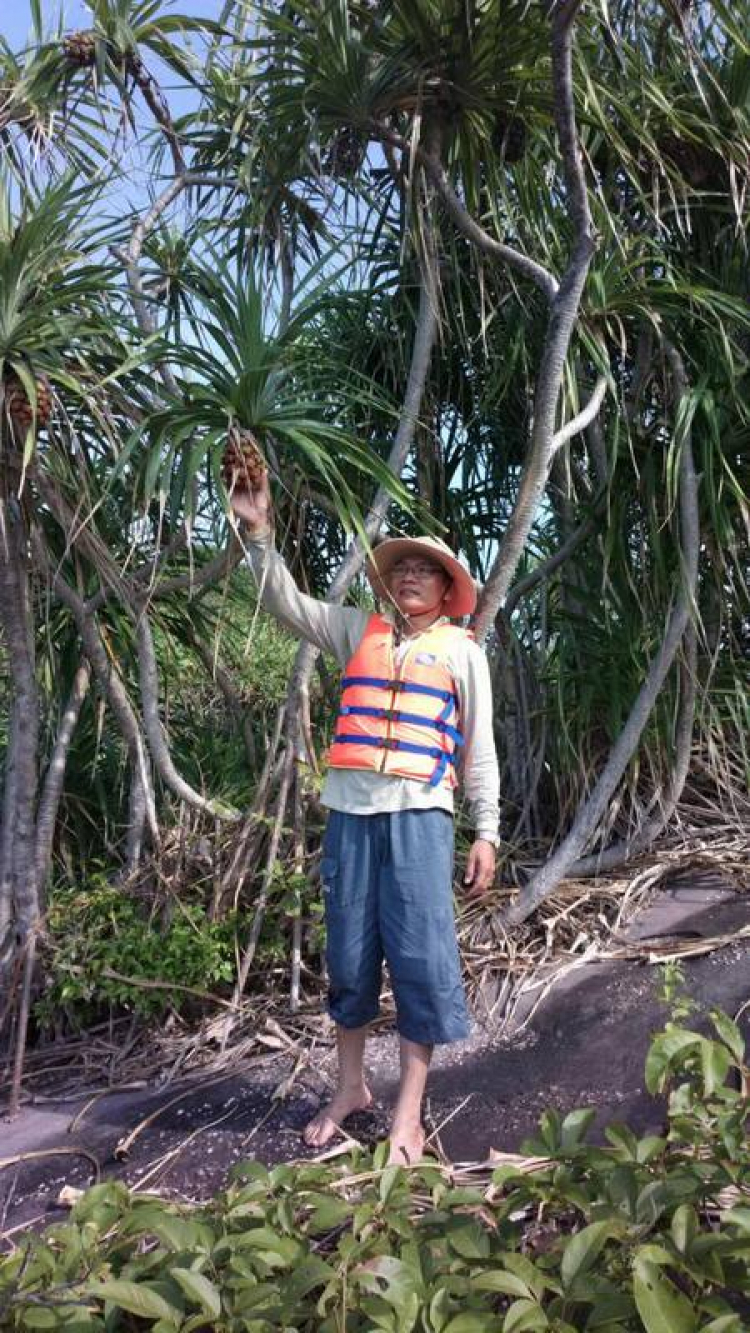 Du ngoạn trên biển bằng xuồng phao bơm hơi. Du ngoạn trên biển bằng xuồng phao bơm hơi.