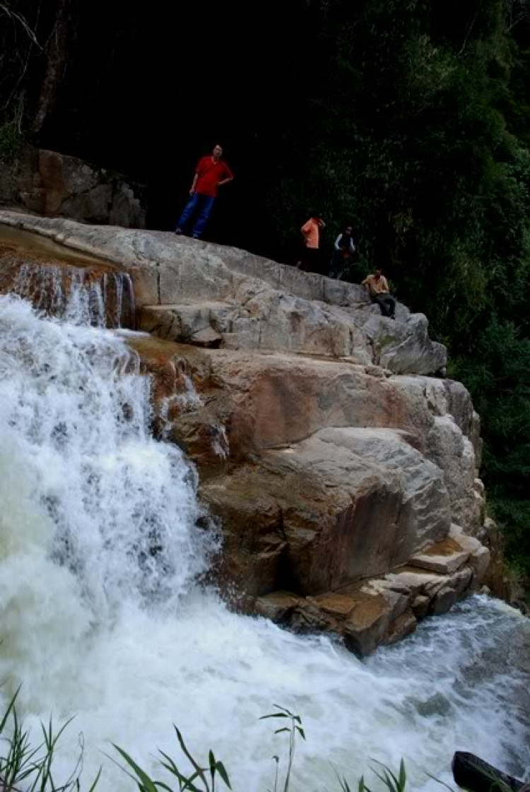 Xin thông tin đi Thác Voi- Đà Lạt