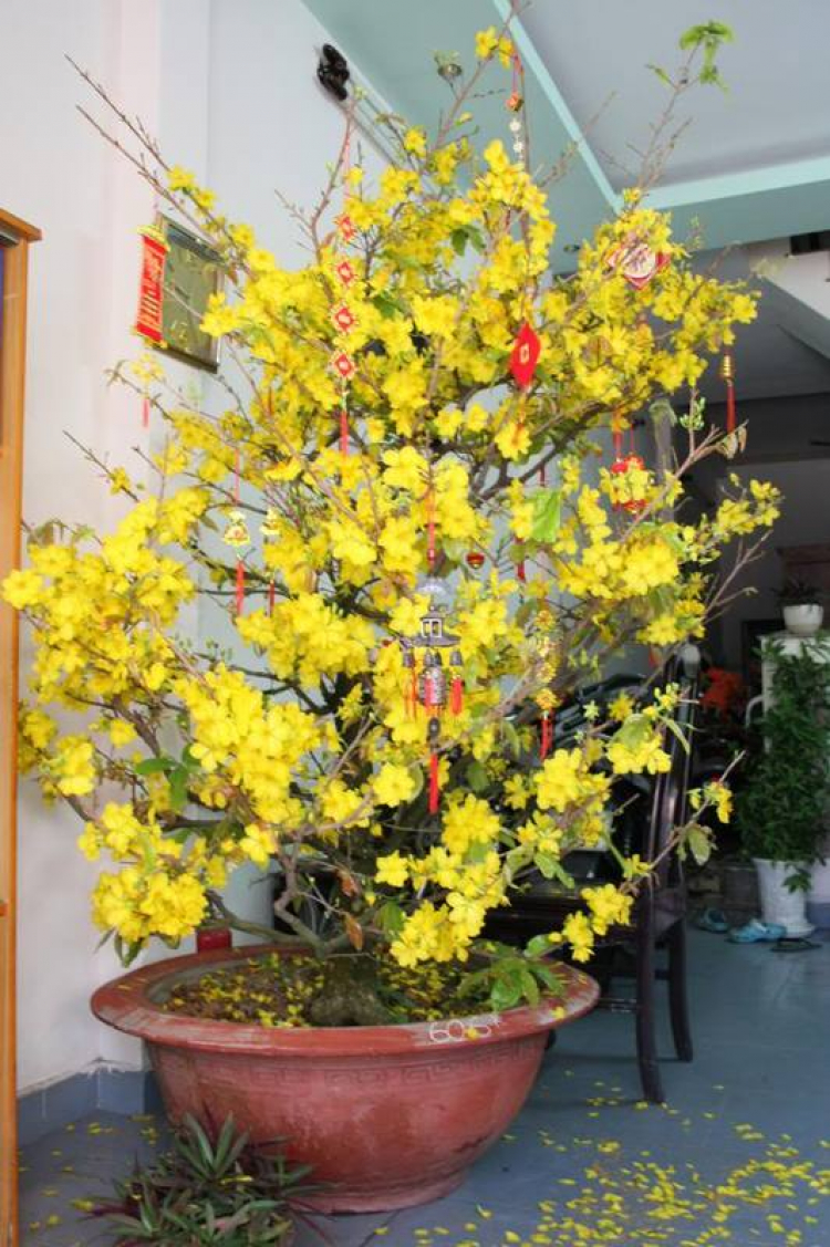 Câu lạc bộ Nhiếp Ảnh MAFC. Câu lạc bộ Nhiếp Ảnh MAFC.