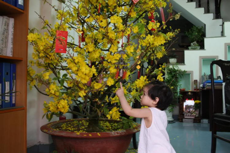 Câu lạc bộ Nhiếp Ảnh MAFC. Câu lạc bộ Nhiếp Ảnh MAFC.