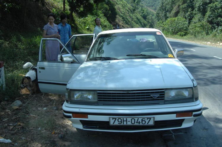 Nissan Bluebird 2.0SGL 1989 - Một kỷ niệm để nhớ , để thân thương !