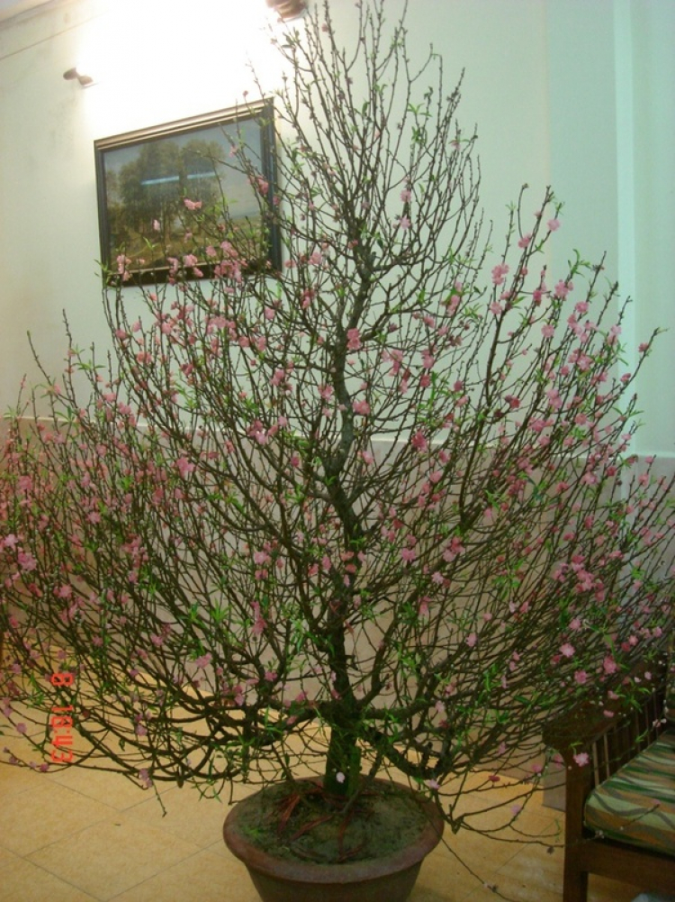Câu lạc bộ Nhiếp Ảnh MAFC. Câu lạc bộ Nhiếp Ảnh MAFC.