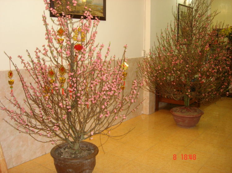 Câu lạc bộ Nhiếp Ảnh MAFC. Câu lạc bộ Nhiếp Ảnh MAFC.