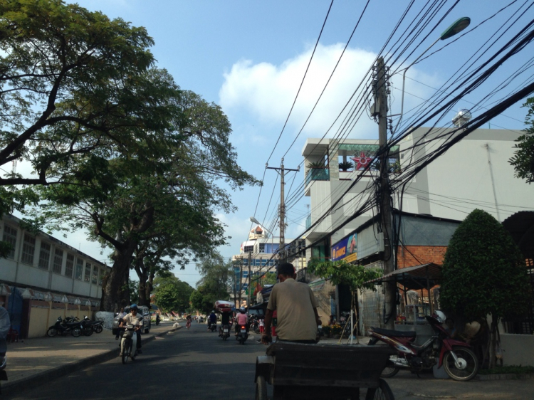 OS.XNL và những hình ảnh xuân Quý Tỵ 2013