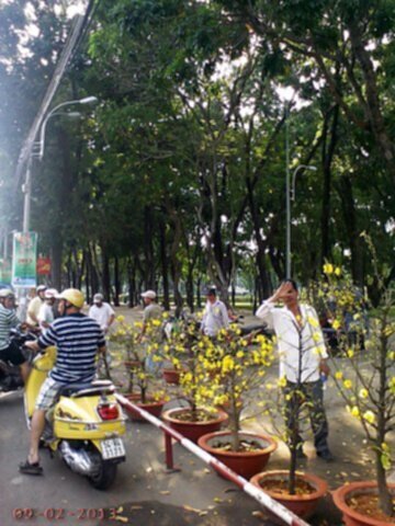 OS.XNL và những hình ảnh xuân Quý Tỵ 2013