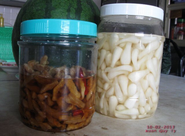 OS.XNL và những hình ảnh xuân Quý Tỵ 2013 OS.XNL và những hình ảnh xuân Quý Tỵ 2013